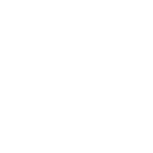 ACI-Logo.png