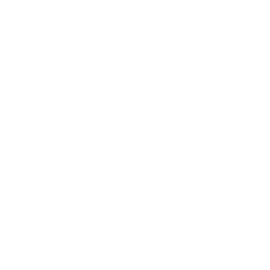 DAM-Logo.png
