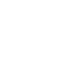 Dird-Logo.png