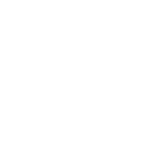 MGI-Logo.png