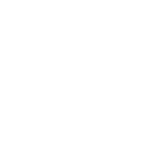 NDE-Logo.png