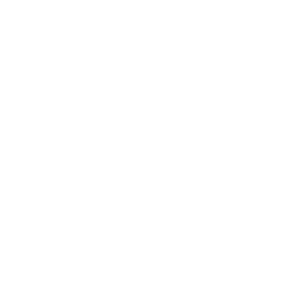 Palmal-Logo.png