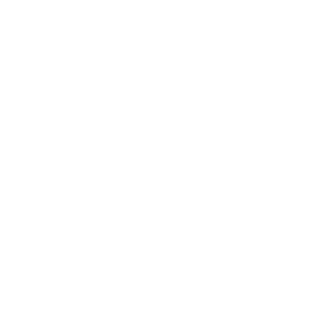 Pran-RFL-Logo.png